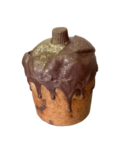 Panetone Supernosso Recheado Alpino 500g