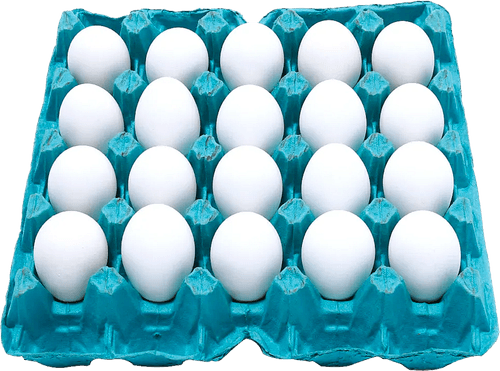 Ovos de Galinha Asa Branco 20 Unidades