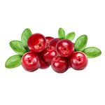 Cramberry-120g