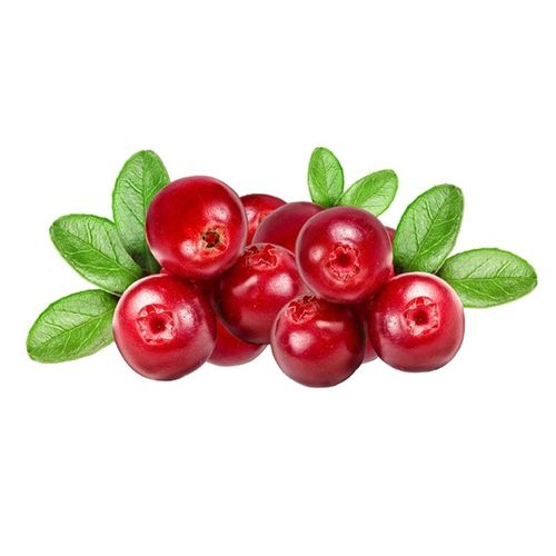 Cranberry Cusper Nosso 120g