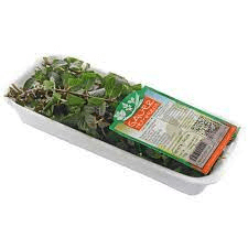 MENTA ROXA GAUER 16G