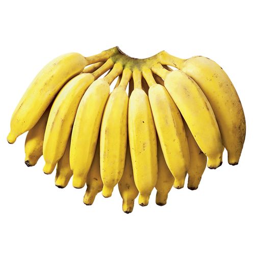 Banana Prata Orgânica 800g