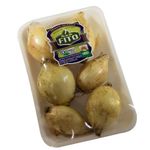 CEBOLA-ORG-FITO-ARTES-BJ-400G