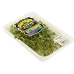 OREGANO-ORG-FITO-ARTES-MH-UN