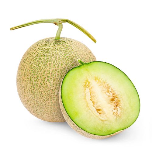 Melão Net Melon 1.3Kg