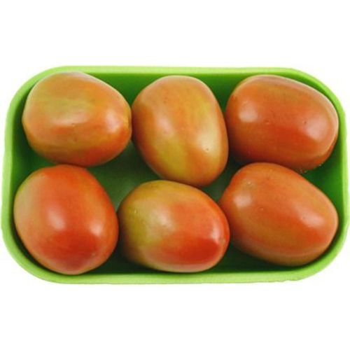 Tomate Italiano Kg