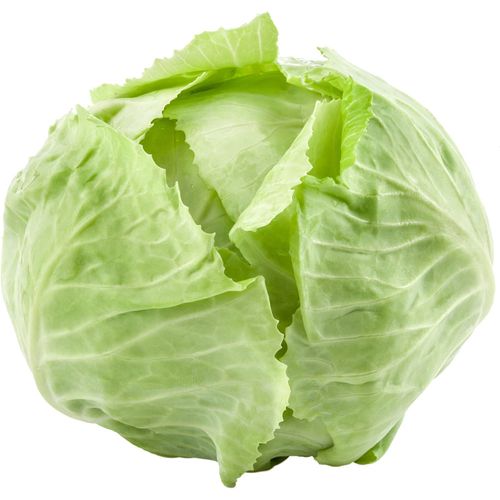 Repolho Verde 500g