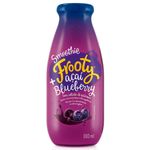 Smoothie-Frooty-Acai-e-Blueberry-300ml