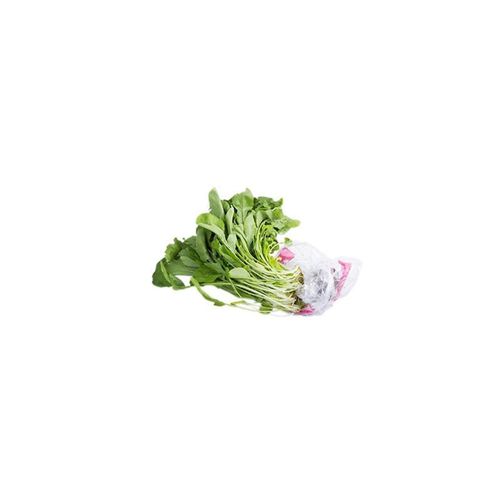 Rúcula Hidropônica Hidro Sabor Unidade
