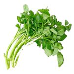 AGRIAO-HIDROP-HORTI-FOLHAS-UN