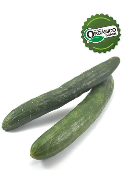 Pepino Japarelho Org Fito Artes 300g-bj