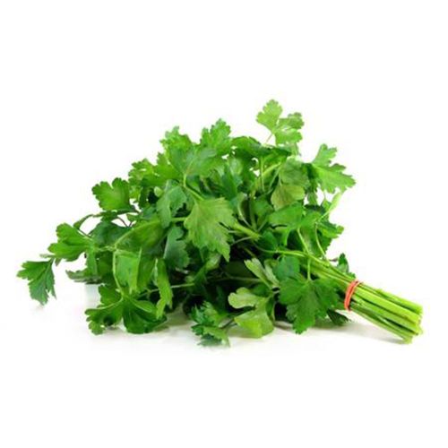Salsinha Hidropônica Todo Verde Unidade