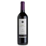 Vinho-Chileno-Costanera-Carmenere-750-ml
