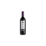 Vinho-Chileno-Costanera-Carmenere-750-ml