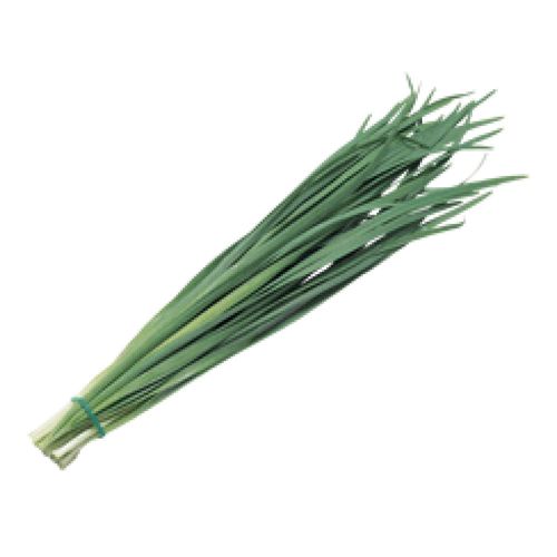 Cebolinha Irmaos Viera Mh