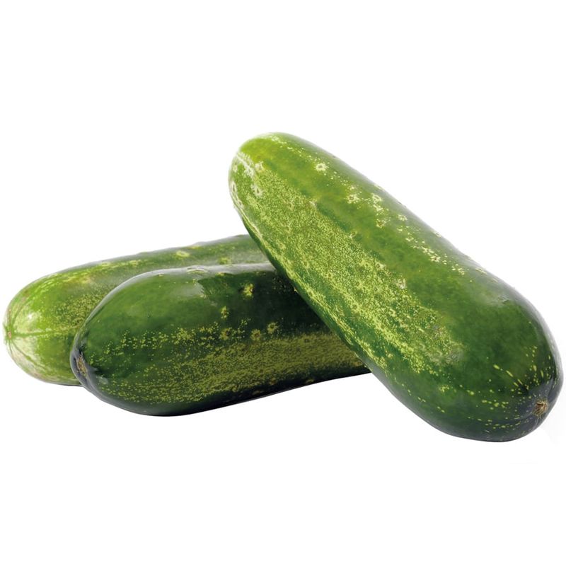 PEPINO-CAIPIRA-ORG-CAPELA-400G-BJ