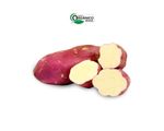 BATATA-DOCE-ROXA-ORG-CAPELA-600G-BJ