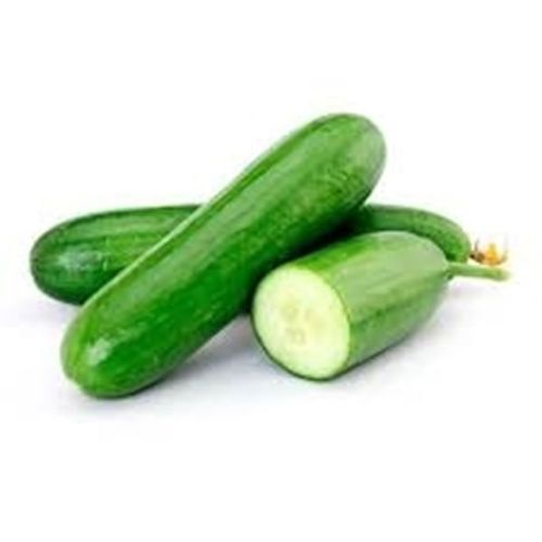 PEPINO COMUM ORG CAPELA 400G-BJ