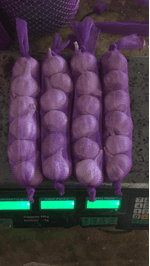 ALHO-ROXO-R-LUA-150G
