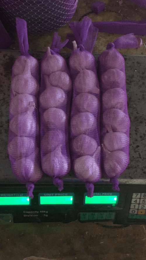 ALHO ROXO R-LUA 150G