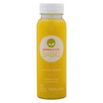 Suco-GREENPEOPLE-Basic-Laranja-250ml