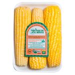 MILHO-VDE-ORG-MINAS-500G