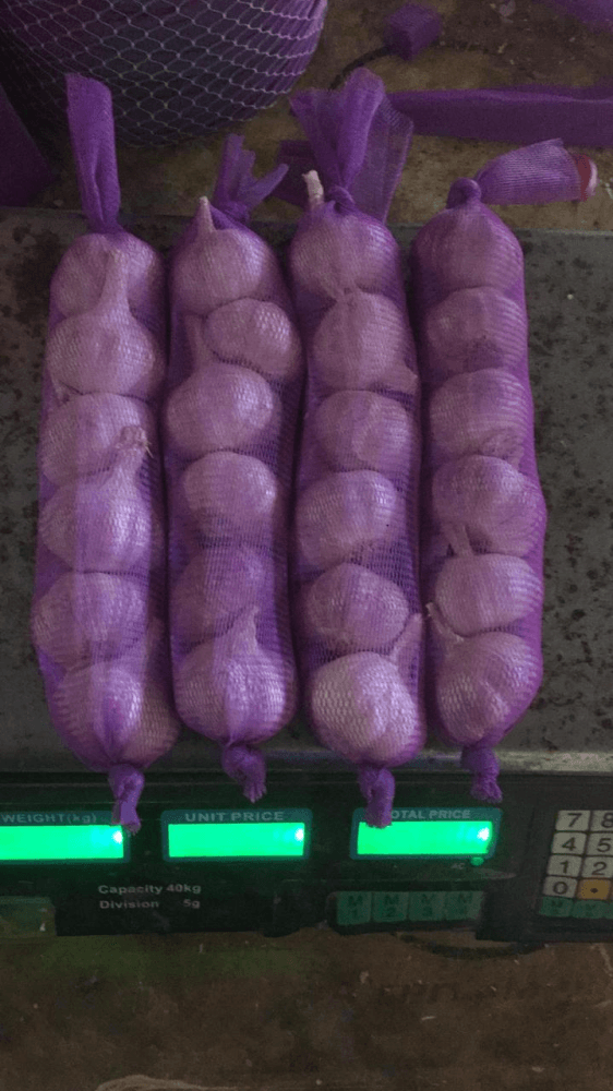 ALHO-ROXO-R-LUA-150G