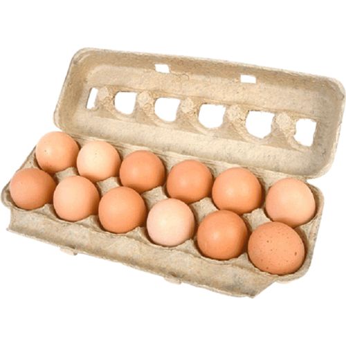 Ovos Vermelhos de Galinha Bandeja com 12 Unidades