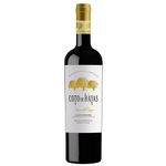Vinho-Espanhol-Coto-De-Hayas-Campo-De-Borja-Tinto-Reserva-750ml
