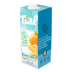 Nectar-Tial-Baixa-Caloria-Tangerina-com-Gengibre-1L