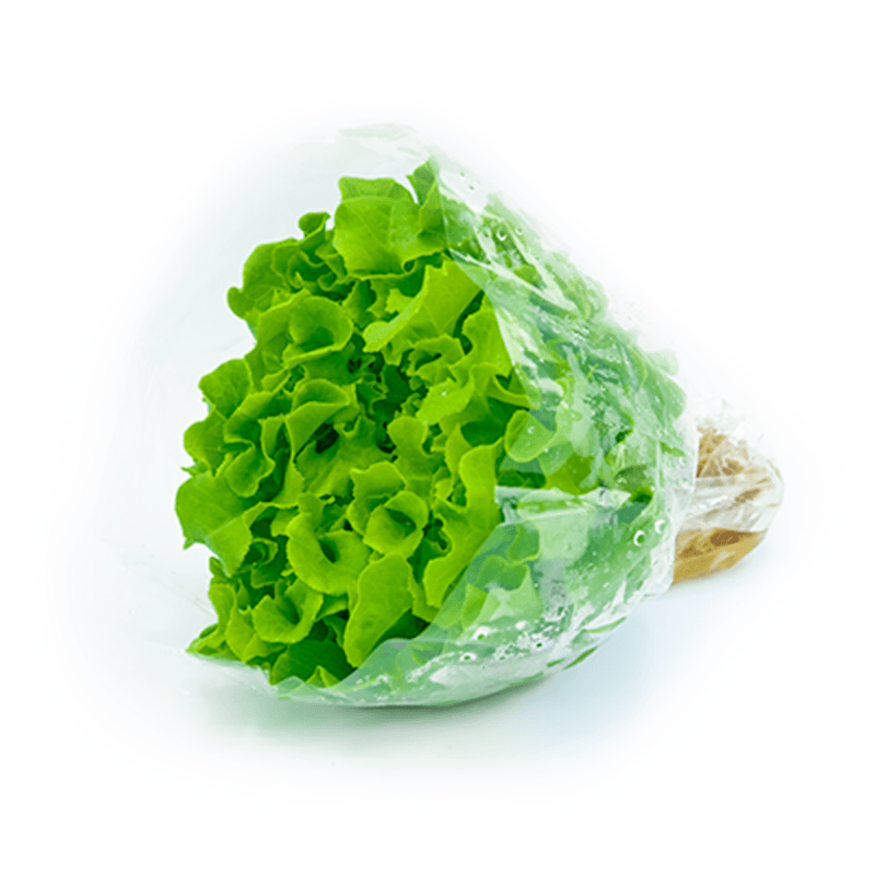 121786