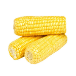 86645
