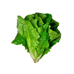 AlmeiraoHortifolhasUnidade