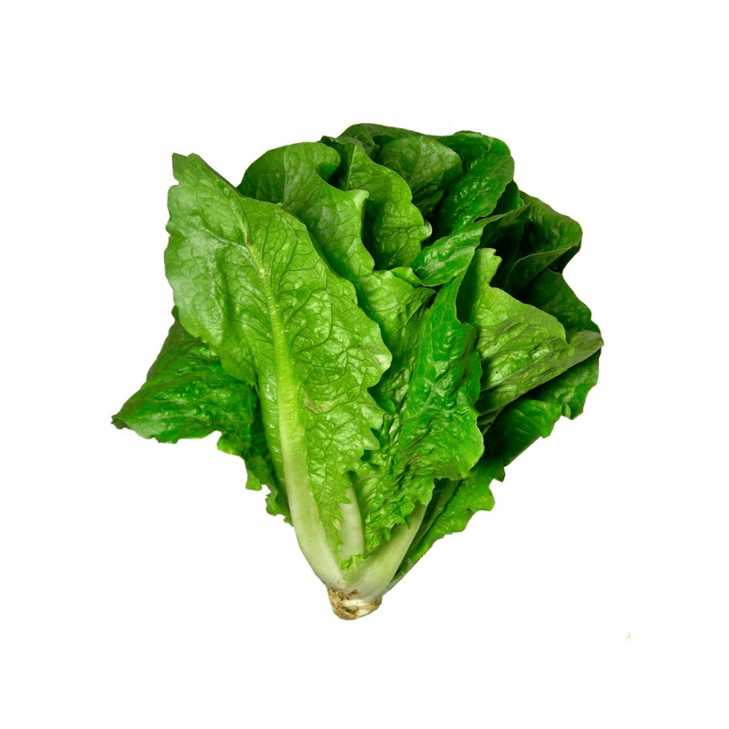 AlmeiraoHortifolhasUnidade