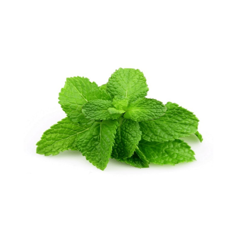 Hortela-25g-Recanto-da-Lua