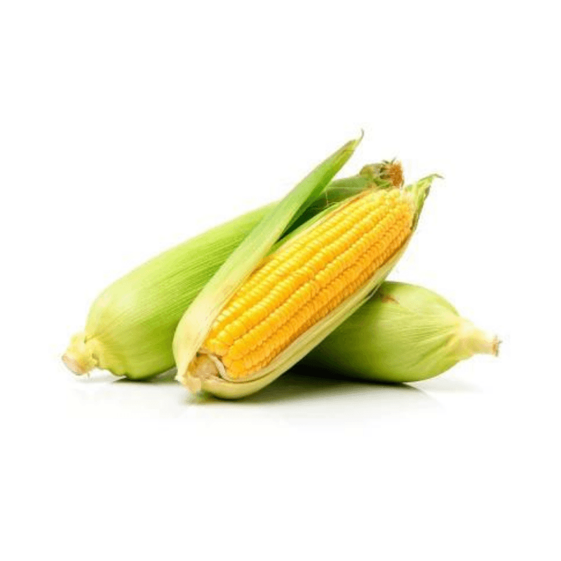 Milho-Verde-Espiga-Kg