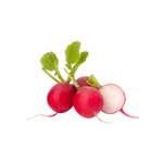 Rabanete-Hortifolhas-Molho