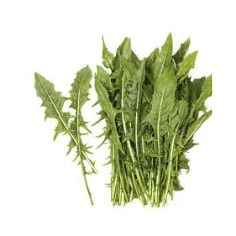Serralha-Hortifolhas-Molho