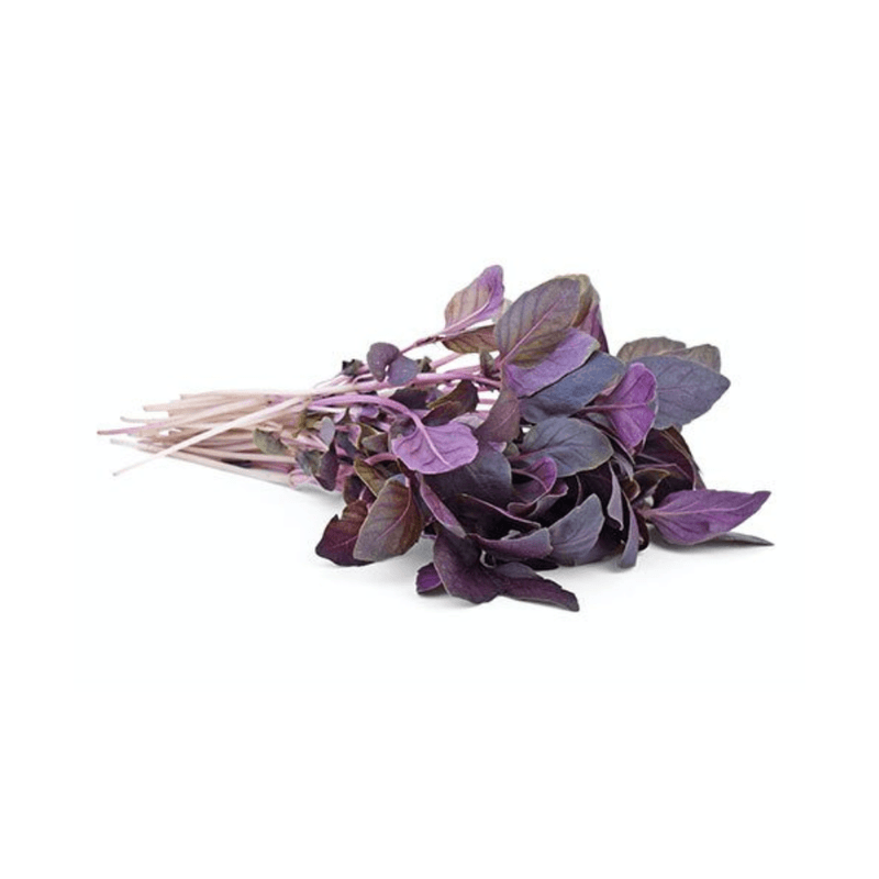 Manjericao-Roxo-Organico-Bandeja