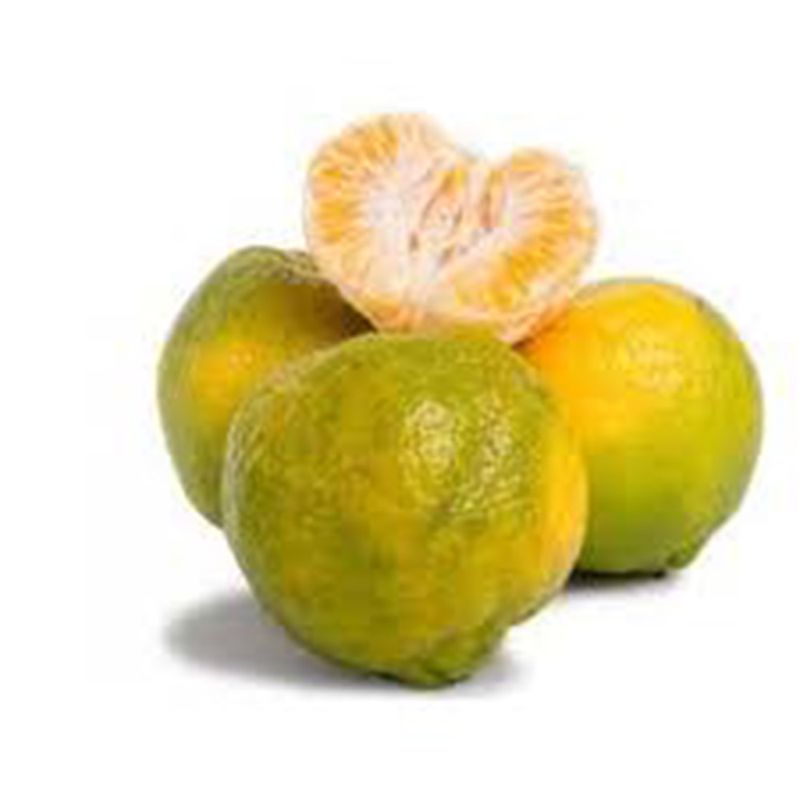 TANGERINA-PONKAN-ORG-CAPELA-1KG-BJ