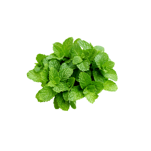 Hortelã Eleve 50g