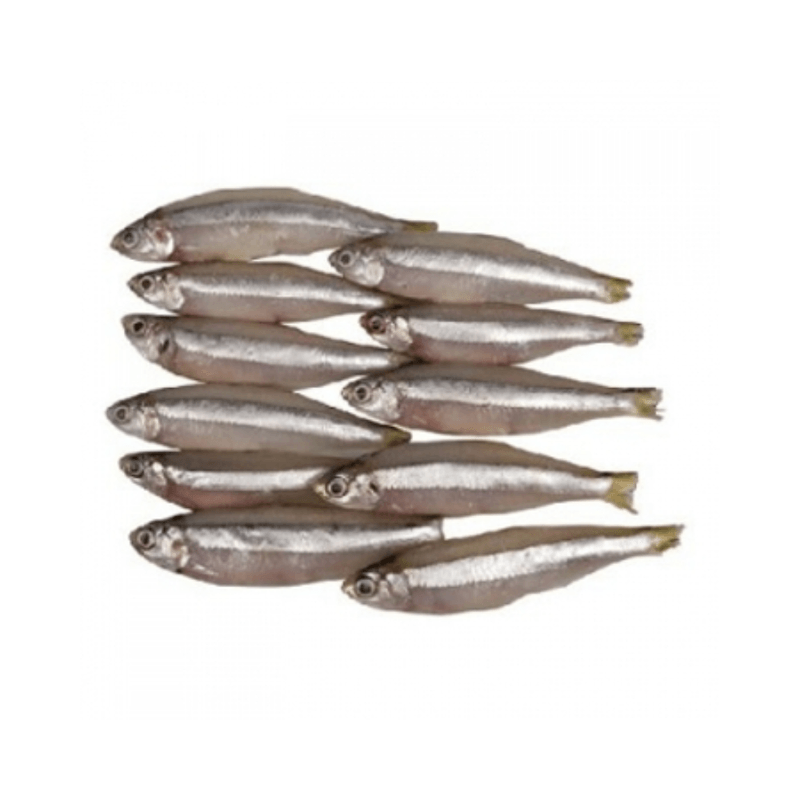 PeixeManjubaCongeladoKg