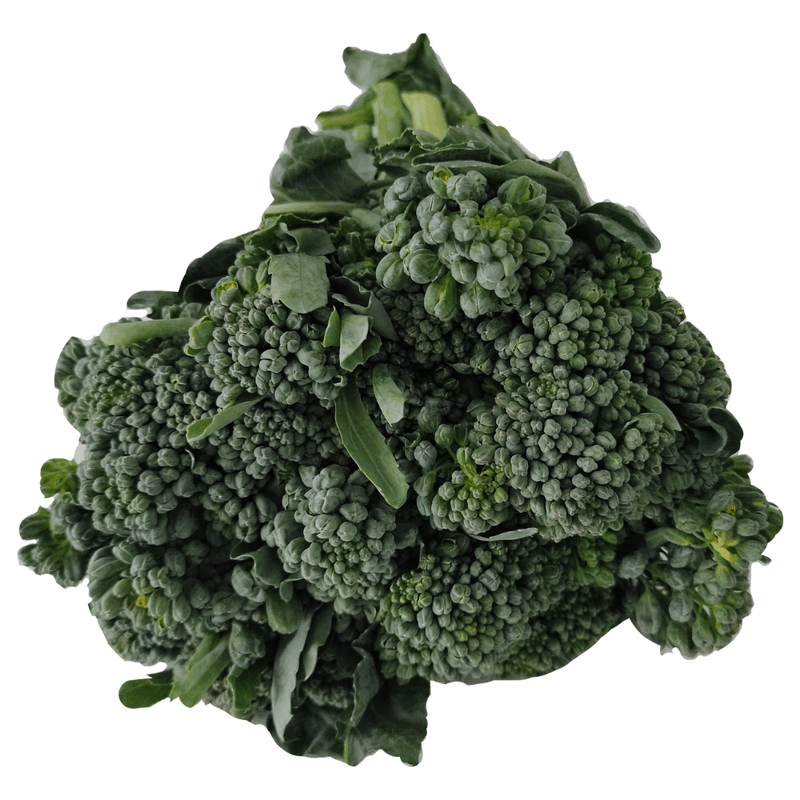 171732
