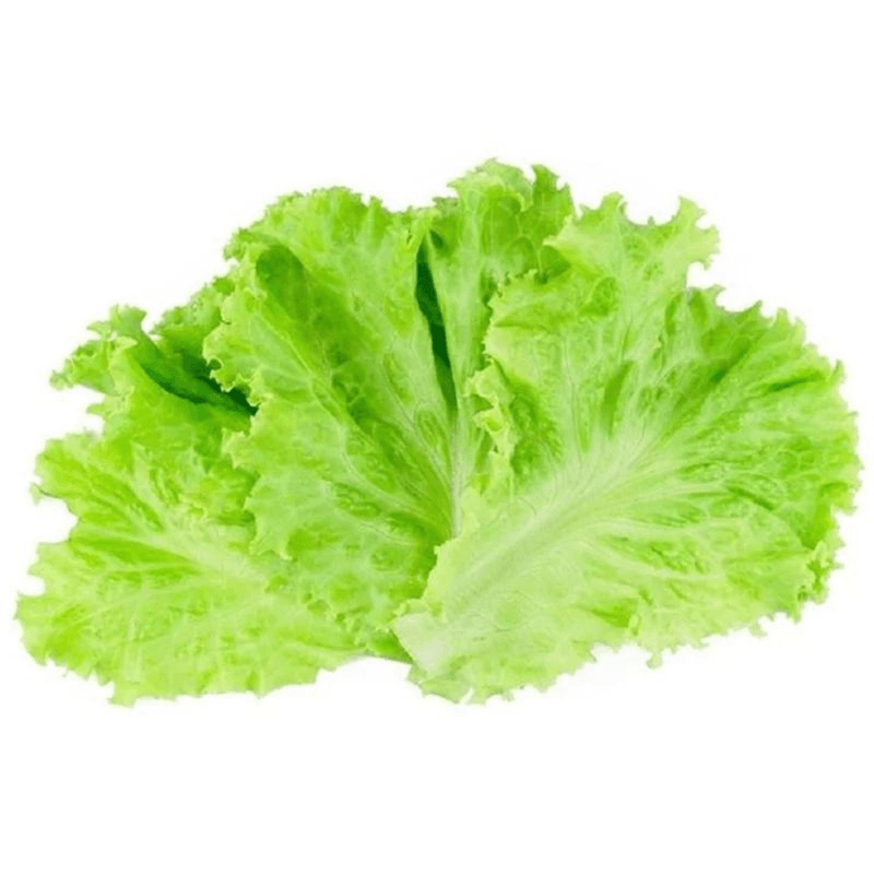 98744