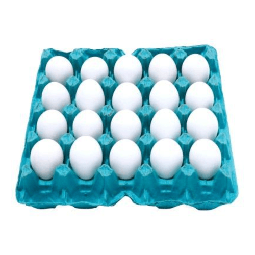 Ovos de Galinha Asa Branco 20 Unidades