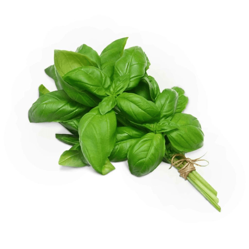 Basilico-Organico-Fito-Unidade