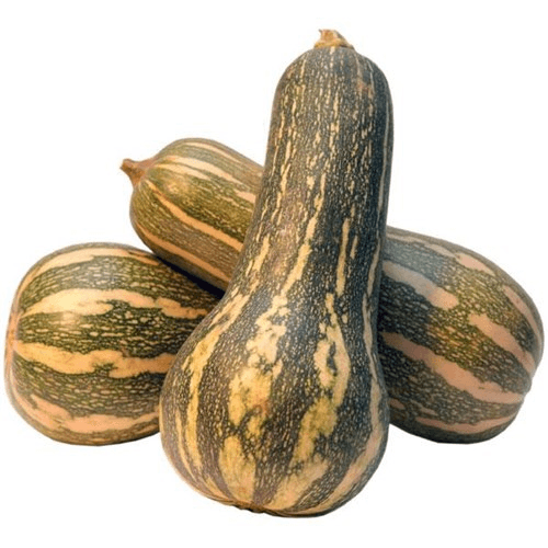 ABOBORA PAULISTA ORG CAPELA 700G-BJ