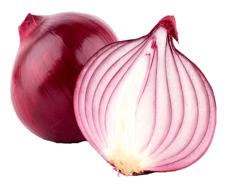 CEBOLA ROXA ORG CAPELA 600G-BJ