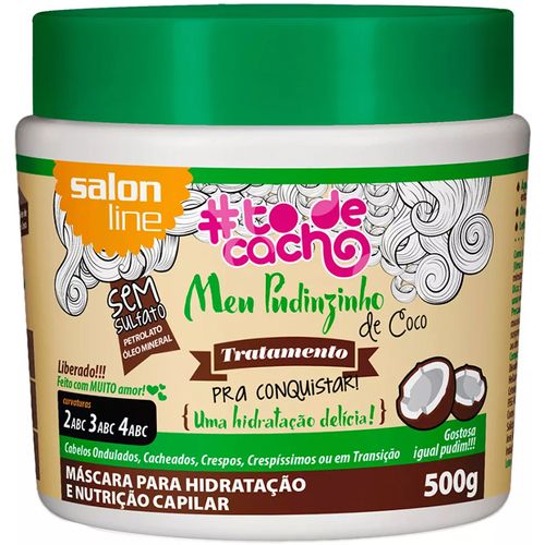 MASCR CAB SALON-L MEU PUDINZ 500G -PT C/AGUA COCO