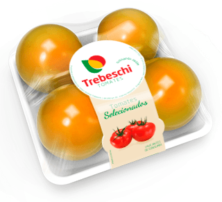 TOMATE-SALADA-TREBESCHI-450G-BJ